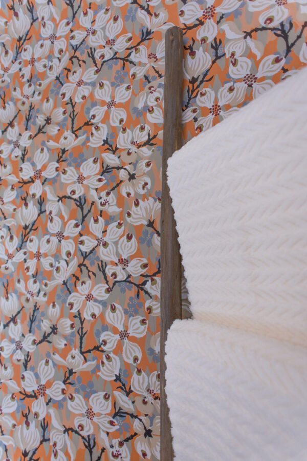 Dogwood - Lucy - Image 2