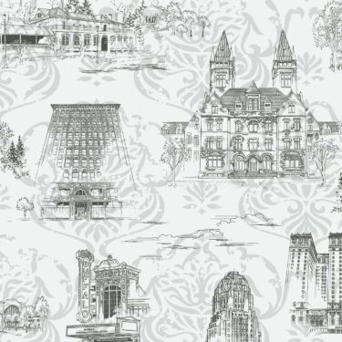 Queen City Toile Damask - Martin