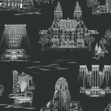 Queen City Toile - Fordham