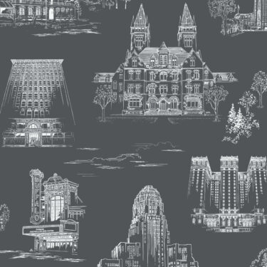 QCT19 swatch 2798 scaled 375x375 - Queen City Toile - Bryant