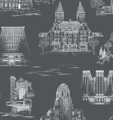 QCT19 swatch 2798 scaled 375x400 - Queen City Toile - Bryant