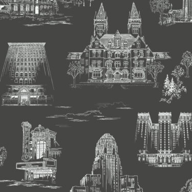 QCT20 swatch 2798 scaled 375x375 - Queen City Toile - Forest