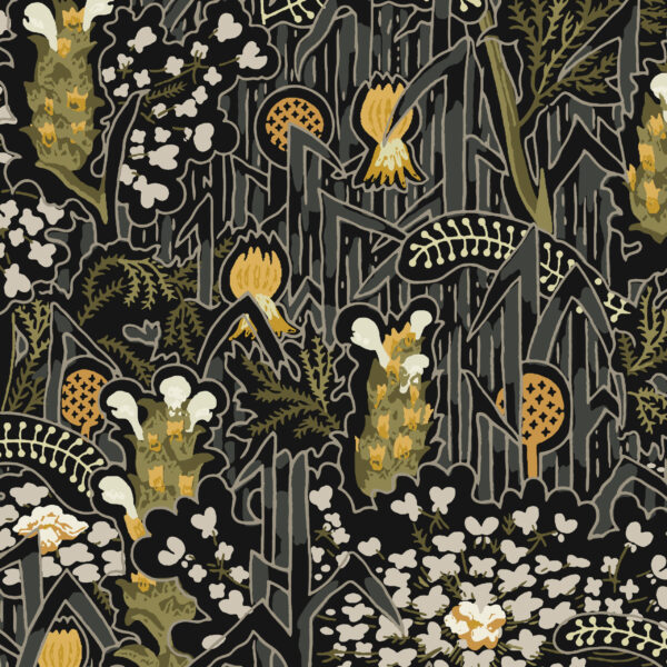 Thistles and Queen Anne’s Lace – Nightmeadow