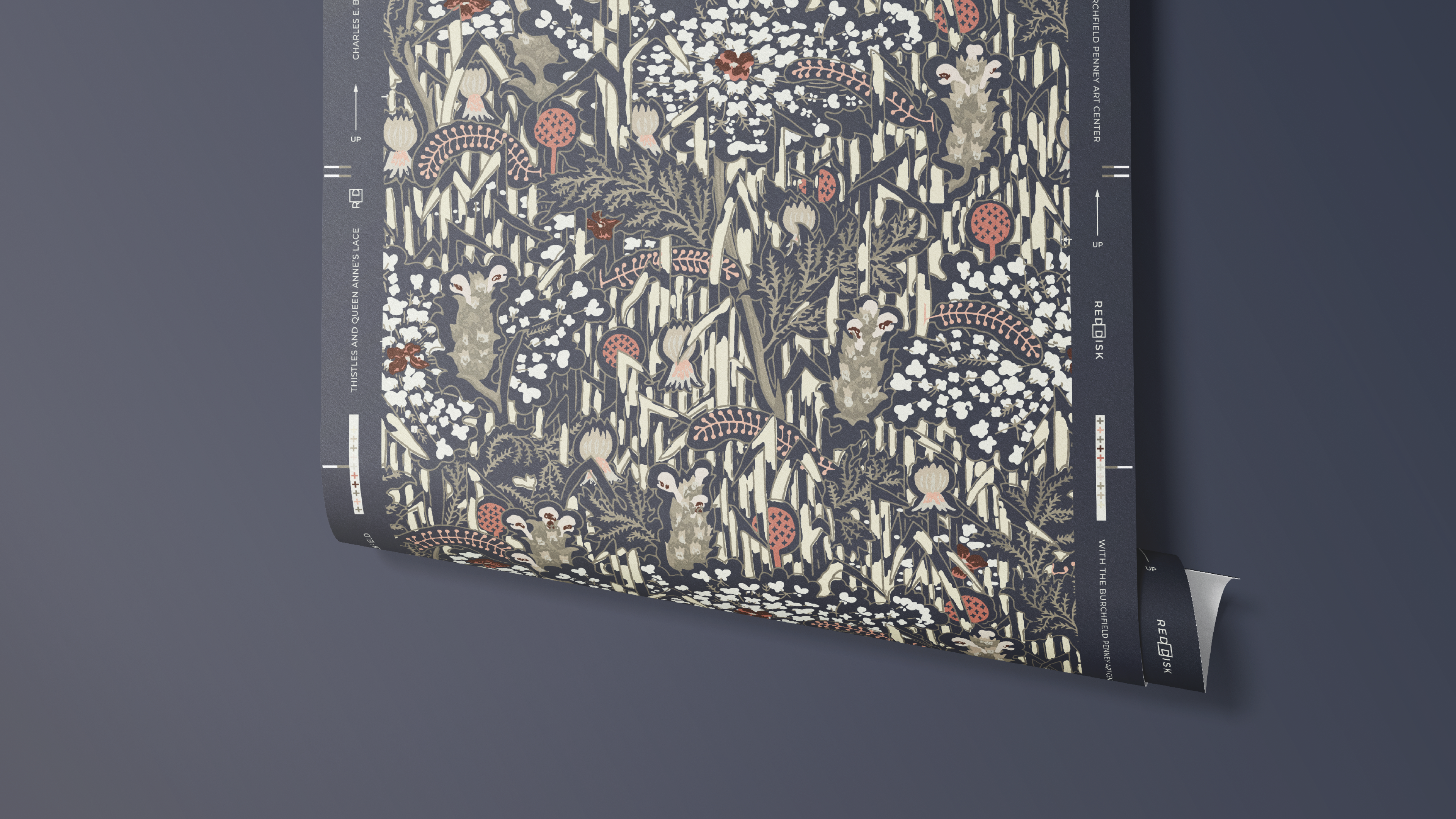 RD web - Thistles and Queen Anne’s Lace – Gardenville